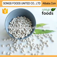 High Quality Specification of White Kidney Beans